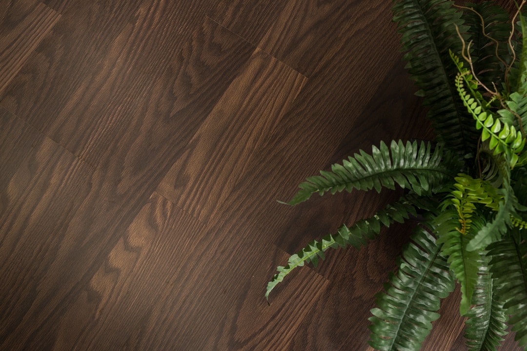 SEO-Trends-dark-moody-4 SEO-Trends-dark-moody-4